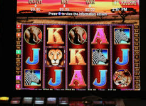 球速体育welcome2024最新版