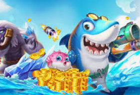 球速体育welcome电脑免费版